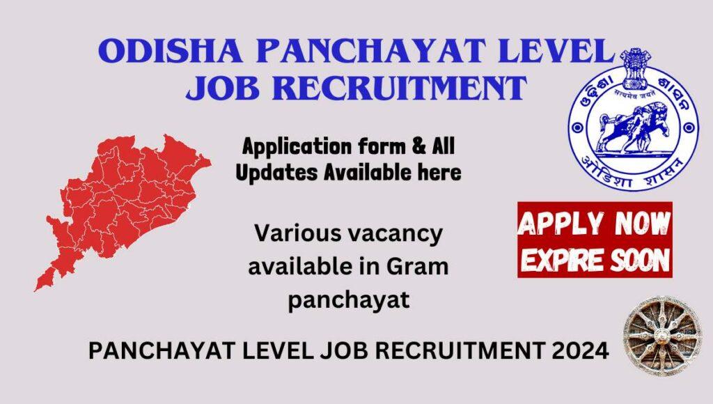 Odisha Panchayat Job Recruitment 2024