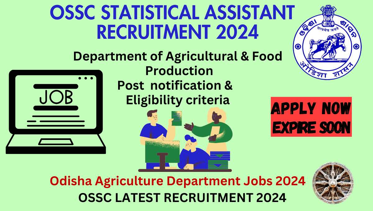 OSSC Statistical Assistant Recruitment 2024 Apply Online, Notification